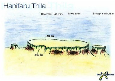 Hanifaru Thila